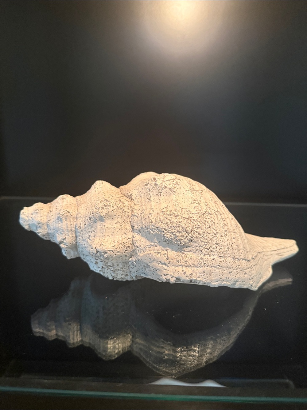 Conch Shell Resin - Picture 2 of 6